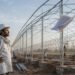 NHB Revises Protected-Cultivation Assistance: What Farmers and Ongoing Projects Need to Know