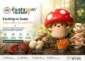 How da’ mushroom nursery is Building India’s First Integrated Mushroom Ecosystem