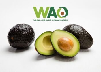 World Avocado Organisation Highlights Avocado’s Role in Post-Monsoon Wellness as India Enters the Festive Season