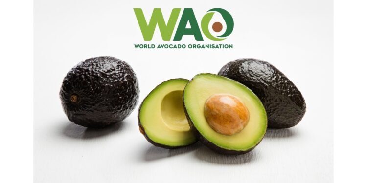 World Avocado Organisation Highlights Avocado’s Role in Post-Monsoon Wellness as India Enters the Festive Season