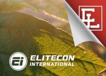 Elitecon International Share Price Hits 5% Upper Circuit Amid Market Recovery