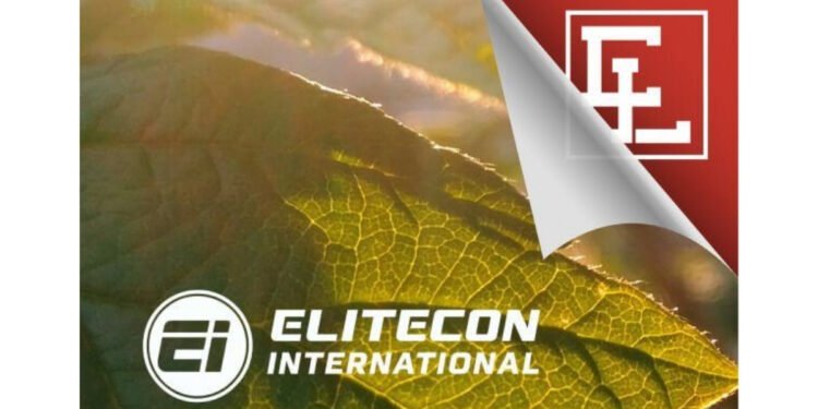 Elitecon International Share Price Hits 5% Upper Circuit Amid Market Recovery