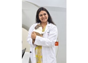 When Rabbits Stop Eating: Looking Beyond the Teeth – The Emerging Role of Cone Beam CT in Rabbit Dental Disease