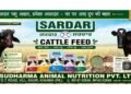 Sardar Cattle Feed: From a 1984 Family Legacy to a Modern Cattle Nutrition Brand