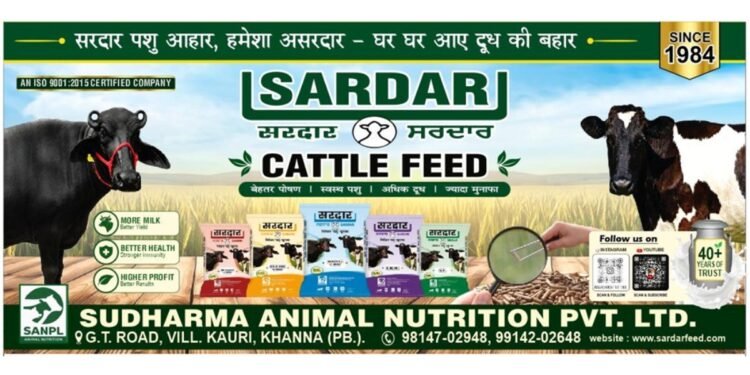 Sardar Cattle Feed: From a 1984 Family Legacy to a Modern Cattle Nutrition Brand