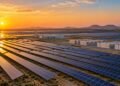 The Oil Executive Building a Solar Farm Bigger Than London