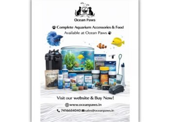 Hyderabad Based Pet Startup Ocean Paws Launches India’s First Aquarium-Led Online Pet Store, Delivering Pan-India