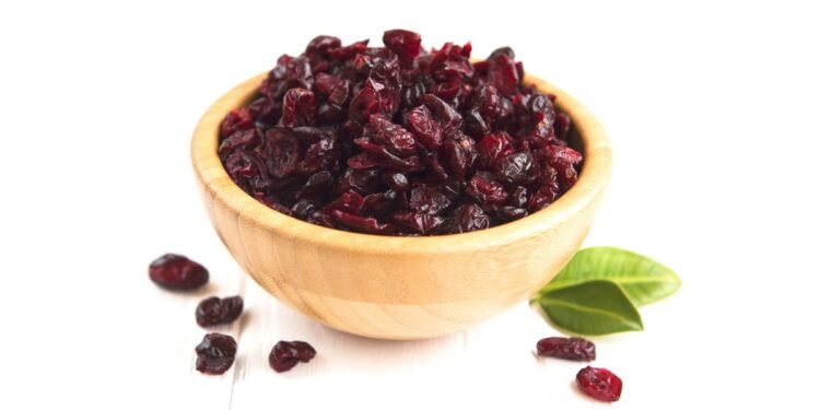 US Cranberries Takes Gut Health Awareness to Doctors and Communities Across India with H. pylori Testing Initiative