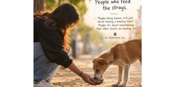 Beyond Humanity: How Local Animal Feeders Are Redefining Urban Compassion in a Tech-Driven Era