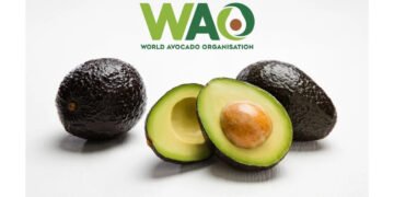 After the Festive Feasting: Could Avocado Be Your Everyday Meal Upgrade?
