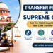 Best Transfer Petition Advocate in Supreme Court: What Should You Look For?