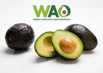 Beyond Sabudana and Kuttu: Fresh Ideas to Bring Avocado to the Navratri Table